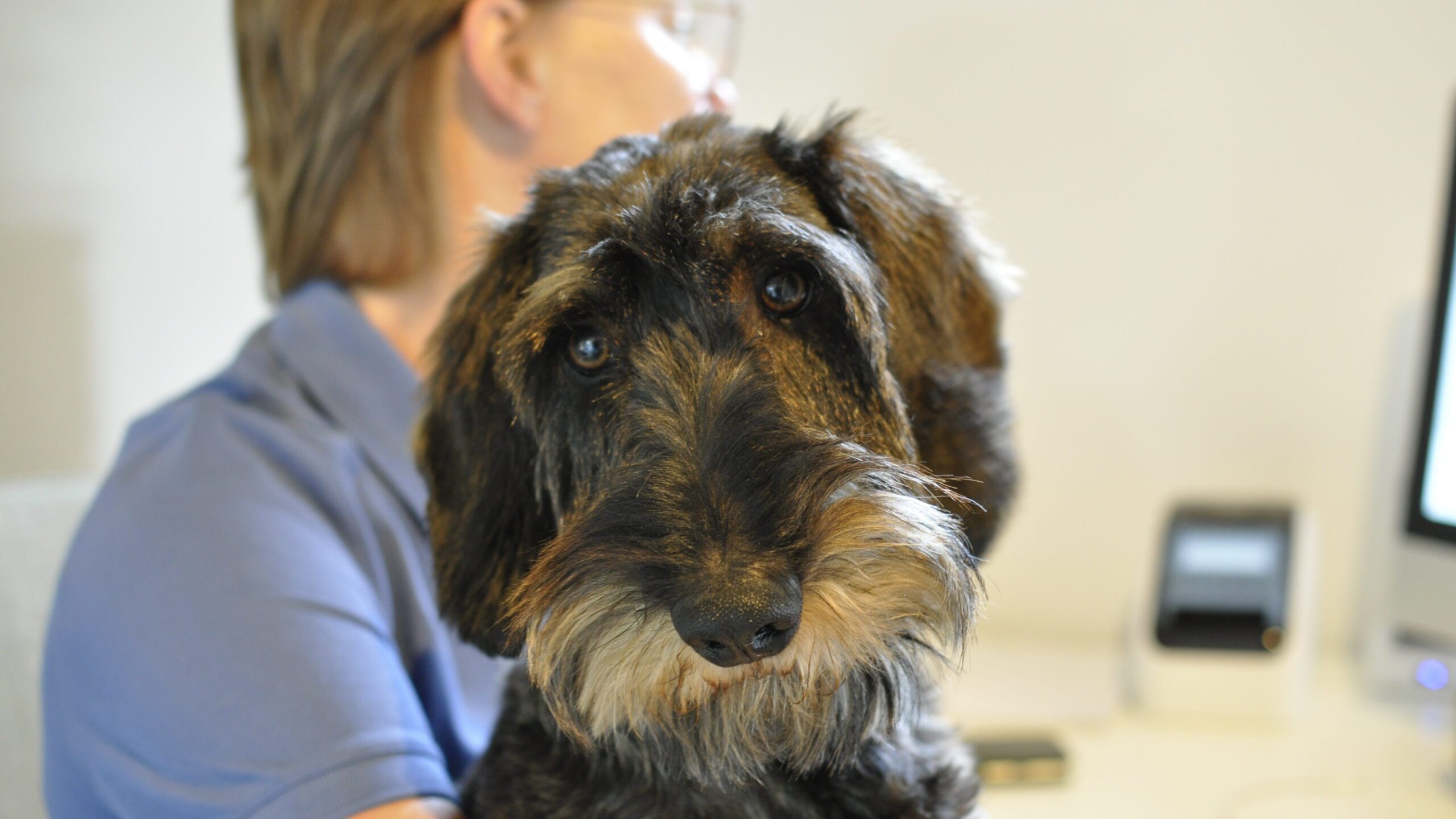 Vacature paraveterinair